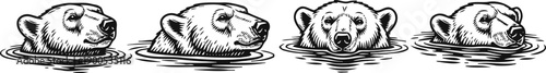 bear head illustrations four detailed sketches of a bear face in water with different angles and expressions