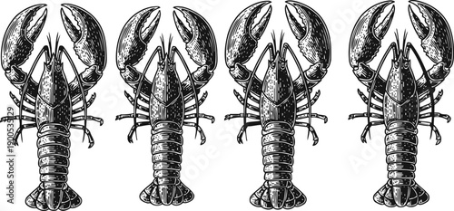 Four detailed black and white lobsters illustration, seafood, marine crustaceans, vintage engraving