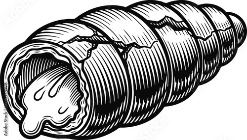 Cracked seashell illustration with dripping liquid, vintage marine object drawing