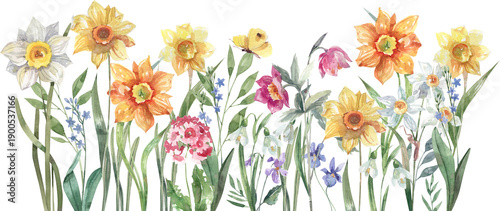 Photography Hand drawn seamless watercolor spring flower border, botanical floral trim patte