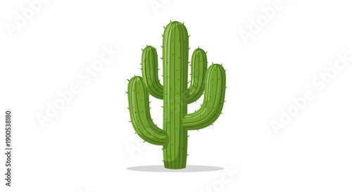 Minimalistic green cactus illustration on a white background