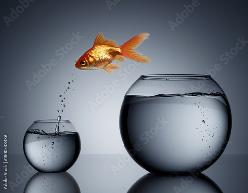 Goldfish leaps from a smaller bowl into a bigger one, representing liberation and expansion, against a gray backdrop.