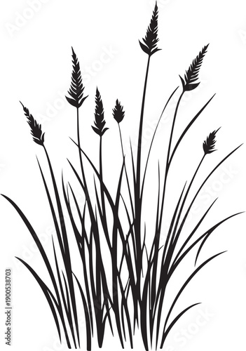 Art & IllustrationSilhouette grass natural plant as background black color only