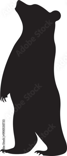 Silhouette of a Majestic Grizzly: A striking silhouette of a grizzly bear stands tall, its powerful form a testament to the wild. Against a muted backdrop.
