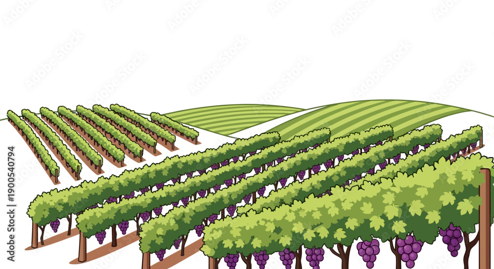 Naklejka premium Illustration of Vineyard with Lush Green Grape Vines on Rolling Hills