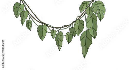 Green vine with leaves on white background illustration