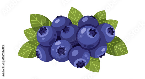 Vector illustration of fresh blueberries with green leaves