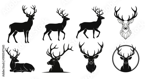 Collection of Elegant Deer Silhouettes and Stylized Head Illustrations