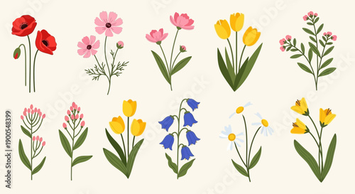 Collection of Various Beautiful Wildflowers on a Light Background, Top View