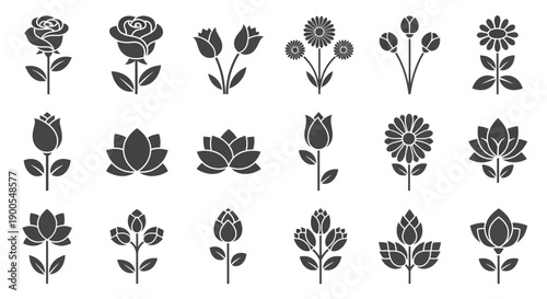 Collection of Various Floral Silhouettes and Icons on White Background