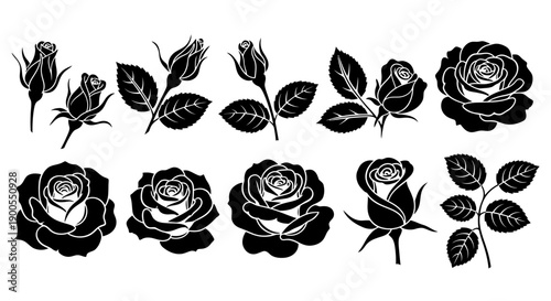 Collection of Black Silhouette Rose Flowers and Buds, Vector Illustrations