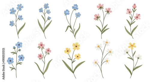 Delicate Wildflowers Collection: Blue, Pink, Yellow and White Blooms on Stems
