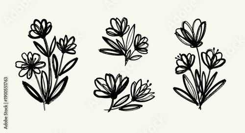 Hand Drawn Botanical Illustrations of Delicate Flowers and Leaves on a Light Background