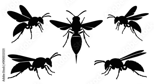 Vector silhouette illustrations of wasps in various poses, flying, hovering and resting.