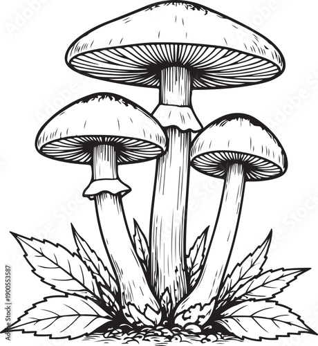 vector illustration of a set of icons