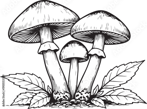 vector illustration of a set of icons