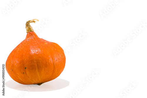 Tableau sur toile courge orange sur transparence