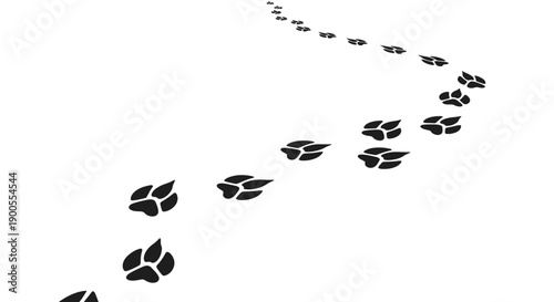 Animal paw prints trail on a winding path against a white background