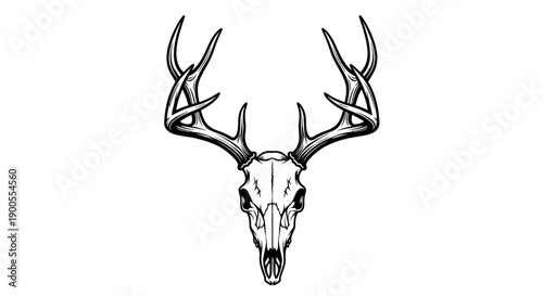 Black and White Illustration of a Majestic Deer Skull with Antlers, Minimalist Design