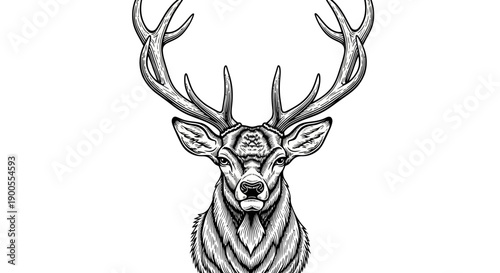 Intricate Monochrome Illustration of a Majestic Stag's Head with Elaborate Antlers