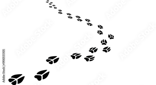 Black Animal Paw Prints Trail Curve on White Background, Wildlife Footsteps Illustration