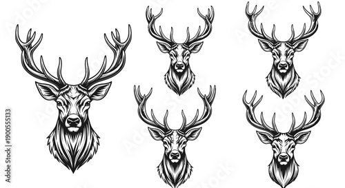 Collection of Illustrative Deer Heads with Majestic Antlers in Vintage Style