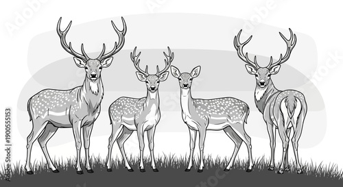 Group of Deer Standing in a Grassy Field with Antlers and Spots