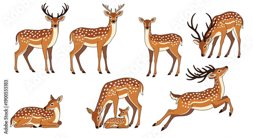 Group of Diverse Sika Deer Poses, Standing, Resting, and Leaping in a Stylized Illustration