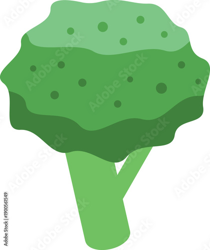 Green broccoli isolated on white background promoting healthy diet and vegetarian lifestyle