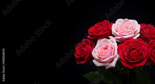 Red and Pink Roses Bouquet on Black Background