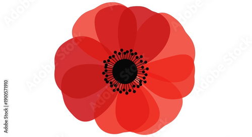A stylized, translucent red poppy with a black center and numerous stamens, set against a white background.