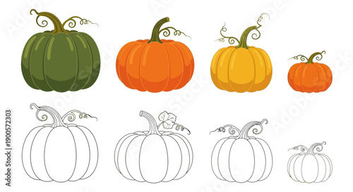 A vibrant collection of pumpkins in various colors and sizes, alongside their corresponding outline drawings, perfect for autumn and Halloween themes.