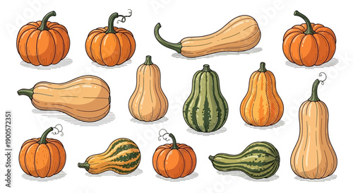 A vibrant collection of various autumn pumpkins and squashes in different shapes, sizes, and colors, perfect for harvest themes.