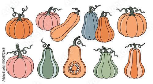 A collection of outlined pumpkins and gourds in various shapes, sizes, and pastel colors, perfect for autumn and harvest designs.