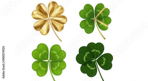 A set of four leaf clovers on a transparent background, including one gold clover