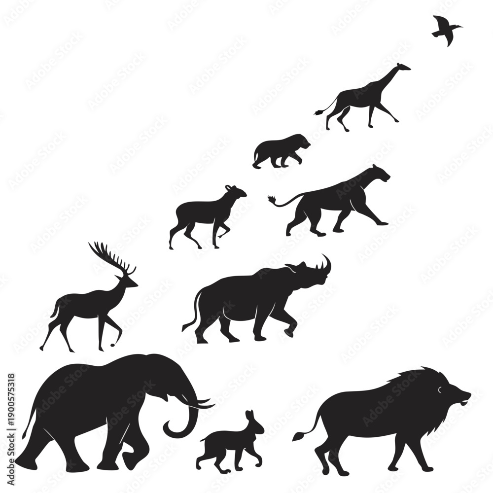 Obraz premium set of animals silhouettes