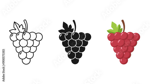 A black and white drawing of grapes next to a colored one Vector