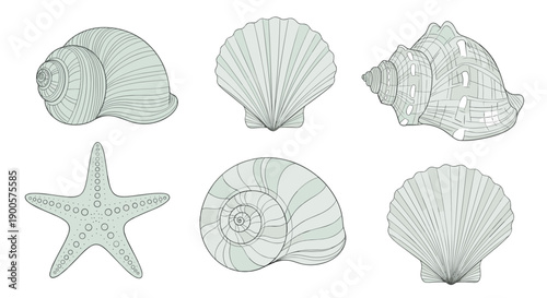 Diverse collection of six sea-themed objects, including various seashells and a starfish, ideal for beach, ocean, or coastal decor themes.
