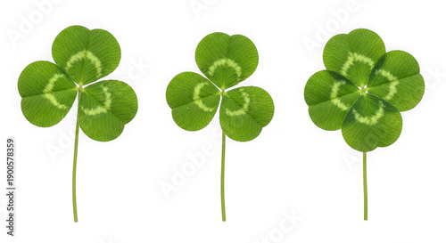 Three green four-leaf clovers with white spots on transparent background