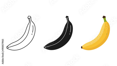 A simple illustration of three bananas in different stages of coloring Vector
