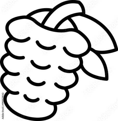 Ripe raspberry fruit growing on branch with leaves, simple line art vector icon representing healthy food, freshness, and natural sweetness