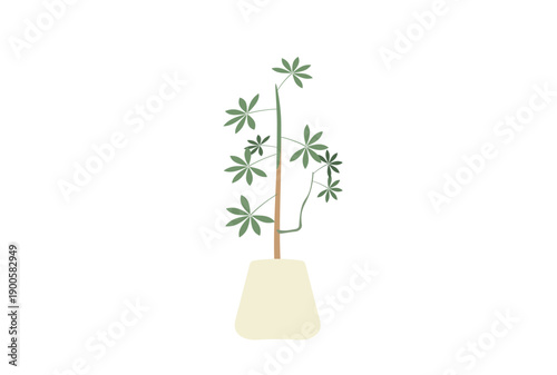 パキラの植えられたシンプルな観葉植物