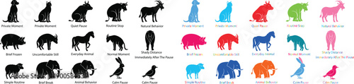 Animal silhouette collection featuring wild and domestic animals in different poses, flat vector illustration set with black and colorful styles, isolated design for icons, logos and graphics