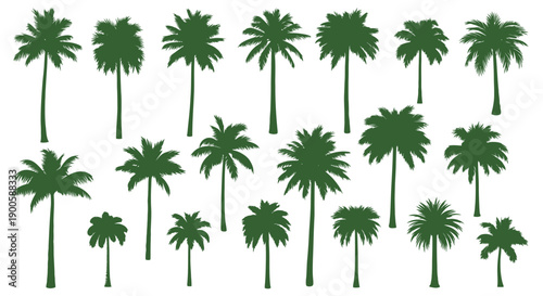 Diverse Collection of Green Palm Tree Silhouettes for Tropical and Exotic Designs