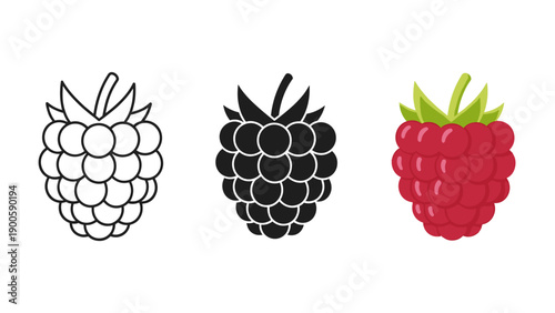 A blackberry and raspberry illustration Vector