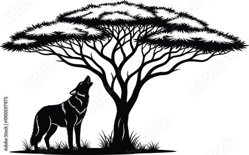 Black and white silhouette of a howling wolf standing under a wide acacia tree in the African savanna on a white background (22 words)