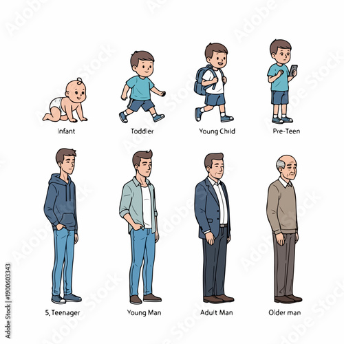 Cartoon vector illustration depicting the eight stages of male development and aging, from baby to senior citizen.