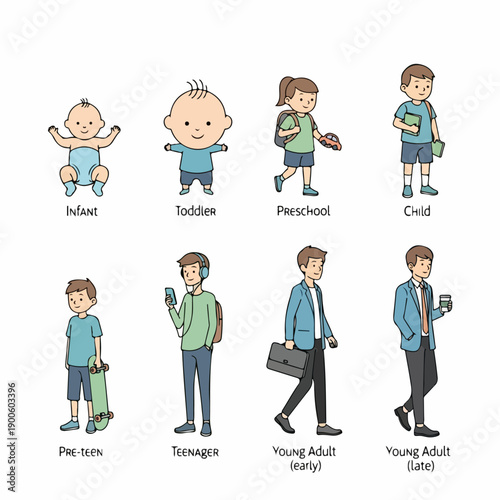 Infographic showing the eight stages of human development and growth, from baby and toddler through teenager to young professional adult.