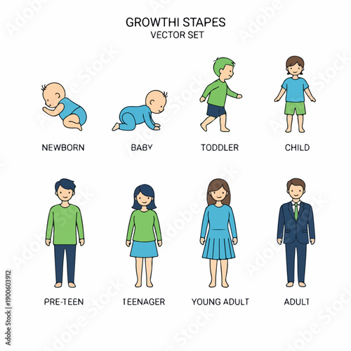 Human growth stages vector set illustrating life cycle development from infancy (newborn, baby, toddler) through childhood, adolescence (teenager), and adulthood.