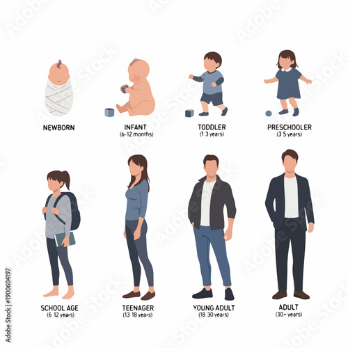 Stages of human development illustration: Newborn, Infant, Toddler, Preschooler, School Age, Teenager, Young Adult, and Adult life cycle chart.